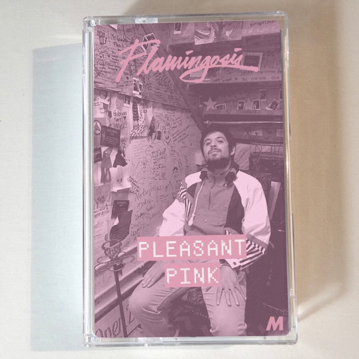 Flamingosis - "Pleasant Pink" (DJ Guest Mix)