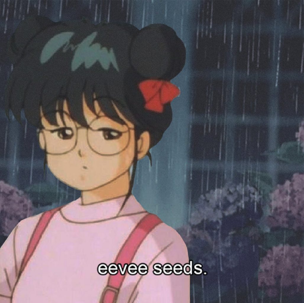 eevee seeds